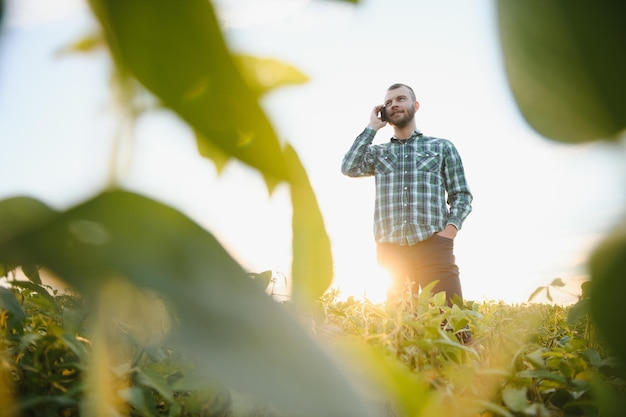 Agronom sprawdza uprawę soi na polu rolniczym Rolnik koncepcji agro na plantacji soi w gospodarstwie