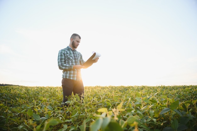 Agronom sprawdza uprawę soi na polu rolniczym Rolnik koncepcji agro na plantacji soi w gospodarstwie