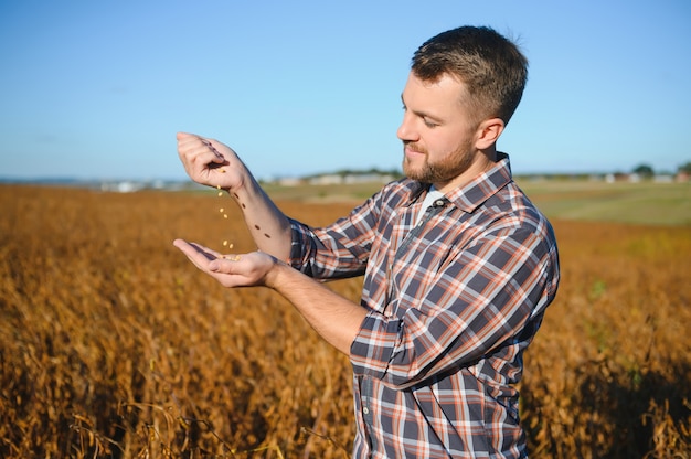 Agronom Sprawdza Uprawę Soi W Dziedzinie Rolnictwa - Koncepcja Agro - Rolnik Na Plantacji Soi W Gospodarstwie.