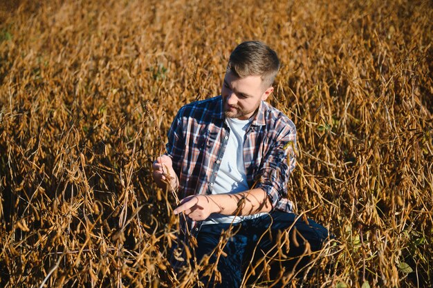 Agronom sprawdza uprawę soi w dziedzinie rolnictwa - koncepcja Agro - rolnik na plantacji soi w gospodarstwie.