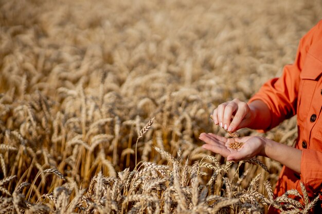 Agronom trzymający probówkę z próbką pszenicy