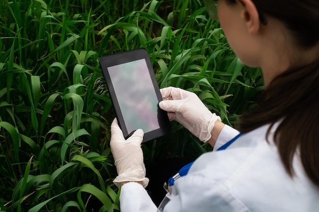 Zdjęcie agronomka w białym płaszczu sprawdza wzrost roślin na polu