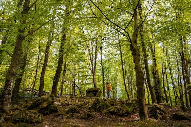 Aitzetako Txabala Dolmen pod niektórymi drzewami w Kraju Basków Errenteria Gipuzkoa
