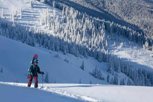 Aktywna freeriderka z deską snowboardową wędruje po zimowym szlaku między pokrytym śniegiem świerkiem w alpejskim terenie górskim backcountry