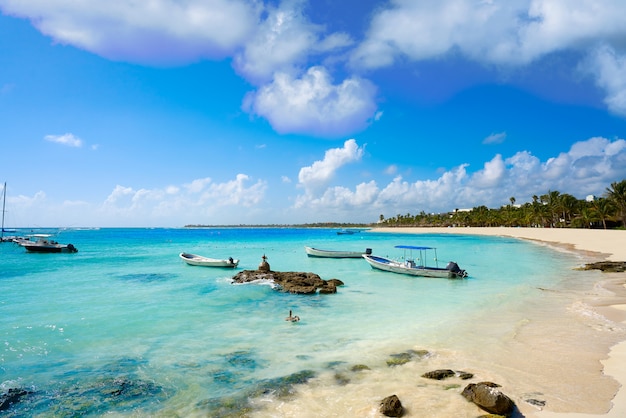 Akumal Plaży Karaibów W Riviera Maya