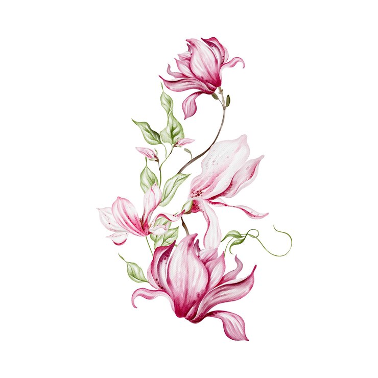 Zdjęcie akwarel ślubny bukiet magnolii ilustracja
