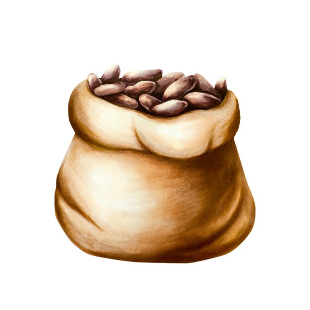 Akwarel suche ziarna kakaowe w torbie z płótna ręcznie narysowany worek z burlap realistyczny superfood organiczny