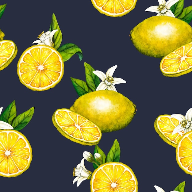 Zdjęcie akwarela bezszwowe wzór plasterek cytryny ręcznie rysowane ilustracja botaniczna żółty pół owoców cytrusowych na białym tle obiekty clipart do projektowania i dekoracji