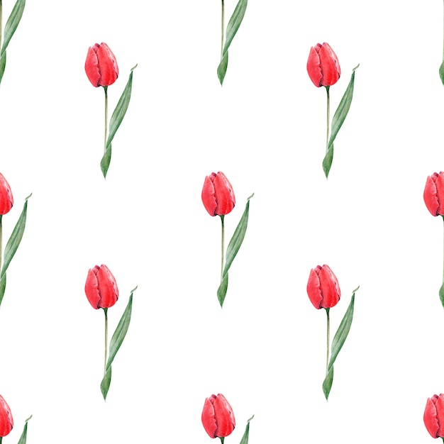 Akwarela Bezszwowe Wzór Z Eleganckimi Czerwonymi Tulipanami. Pąki, Kwiaty I Liście