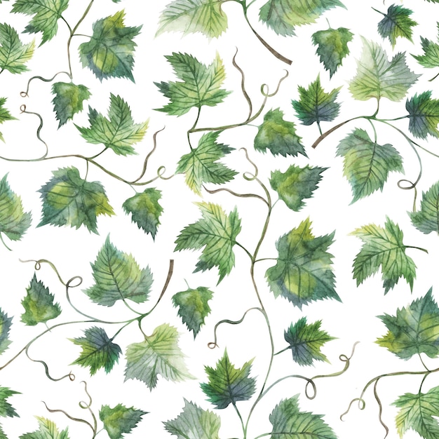 Zdjęcie akwarela bezszwowe wzór z zielonymi liśćmi winorośli malarstwo botaniczne malarstwo kwiatowe