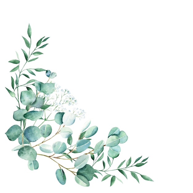 Akwarela bukiet liści rogu eukaliptusa łyszczec i gałęzie pistacji ręcznie rysowane botaniczne