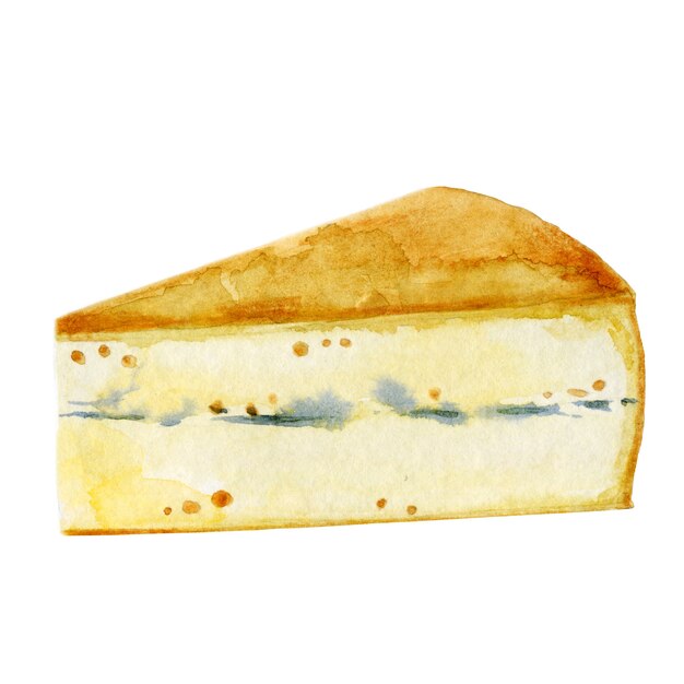 Akwarela gorgonzola