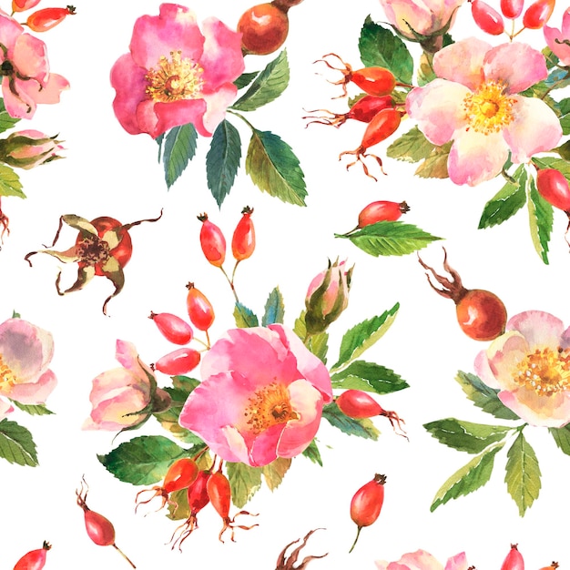 Akwarela ilustracja bezszwowy wzór dzikiej róży kwiaty pozostawia jagody na białym tle s