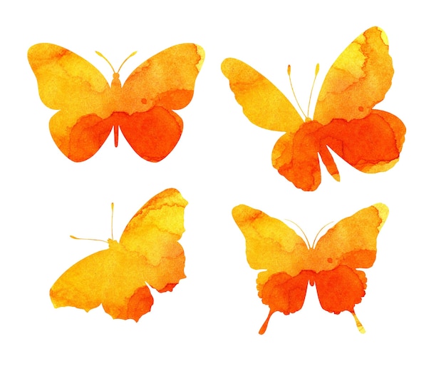 Akwarela ilustracja foki piękny pomarańczowy motyl. Trafole owadów. Akwarelowe plamy, plamy w kształcie ćmy. Na białym tle.