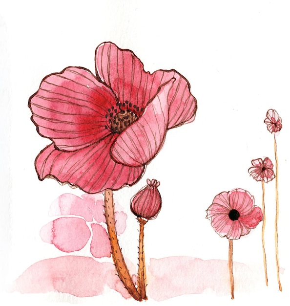 Zdjęcie akwarela ilustracja kwiaty darmo