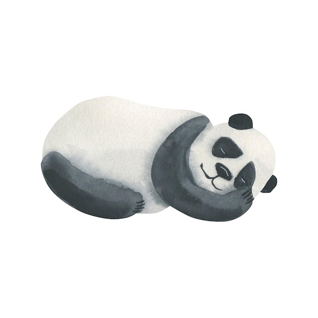 Akwarela ilustracja miś panda śpi zwinięty w kłębek