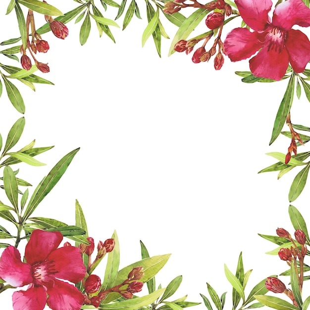 Akwarela ilustracja oleandra zestaw z kwiatami i liśćmi Handdrawn izolowany obiekt clipart na białym tle jasny akwarela na kartki świąteczne zaproszenia ślubne tekstylia nadruk projekt