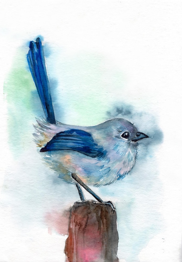 Zdjęcie akwarela ilustracja ptak birdie niebieski ptaszek