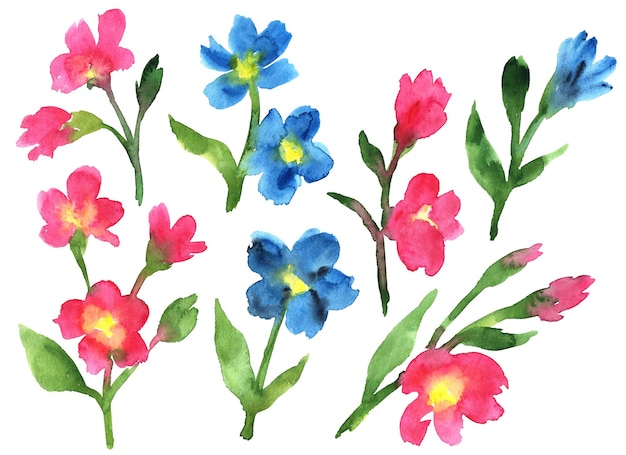 Zdjęcie akwarela ilustracja z kwiatami zapomnianymi elementami kwiatowymi na białym tle
