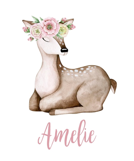 Akwarela ilustracyjny plakat z małym jeleniem w wieńcu i imieniem Amelie. Na białym tle.