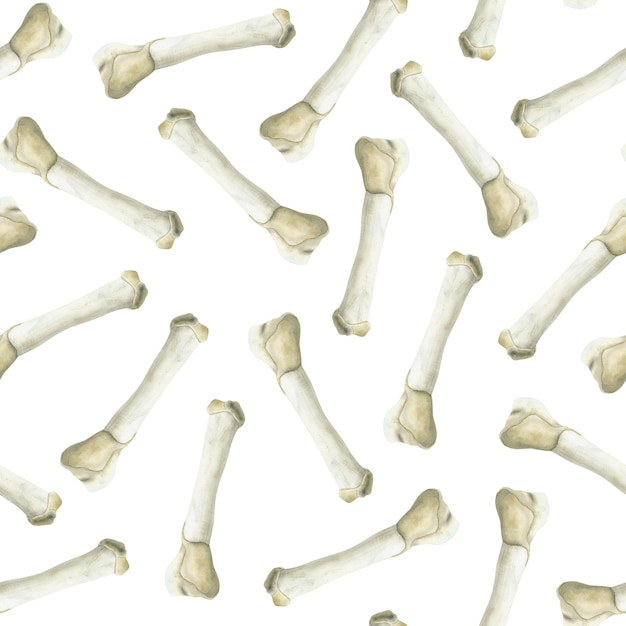 Zdjęcie akwarela kości zwierząt wzór na białym tle dla projektów skamieniałości archeologicznych dinozaurów