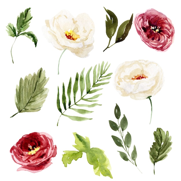 Akwarela kwiatowy wiosenne i letnie elementy ilustracji