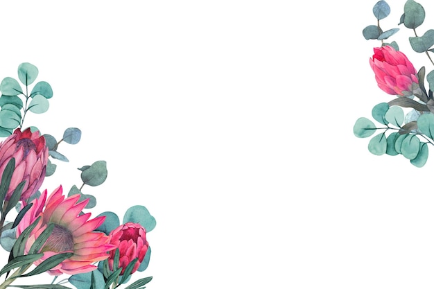 Akwarela Magenta Protea i eukaliptus ślub ilustracja clipart