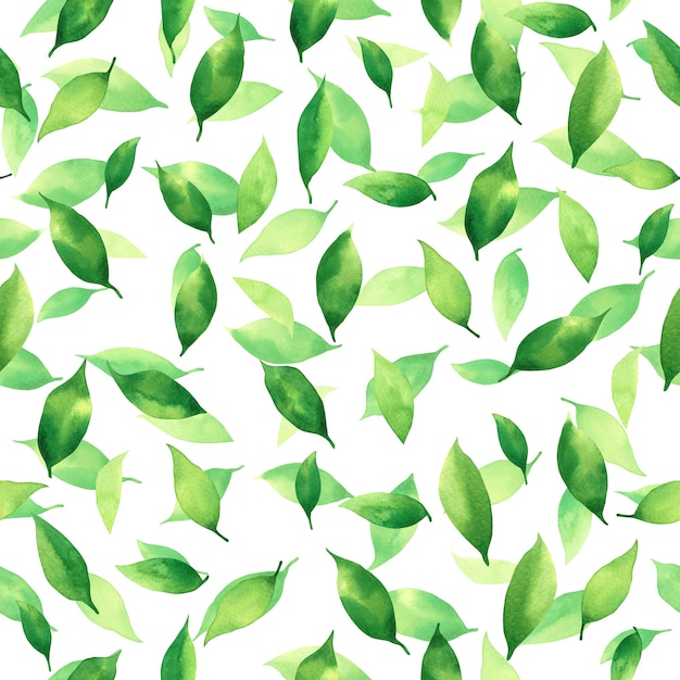 Akwarela malarstwo zielone tropikalne liście bezszwowe tło wzór