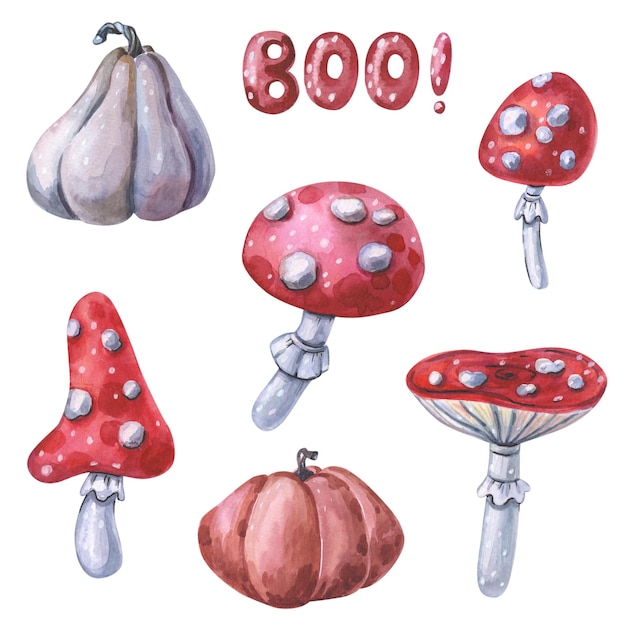 Akwarela muchomor i dynia Red Amanita muscaria