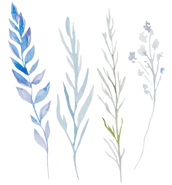 Zdjęcie akwarela niebieska gałąź z izolowanymi liśćmi ilustracja element ślubny pastelowy
