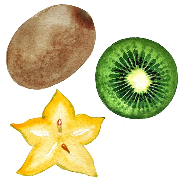 Akwarela owoce, kiwi i carambola, na białym tle