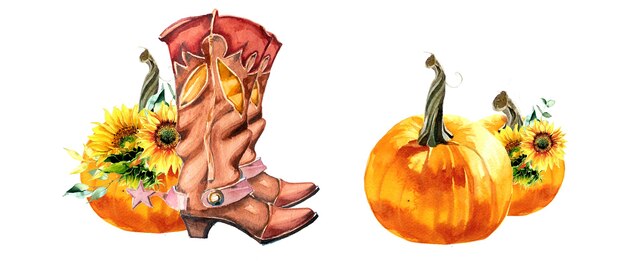 Akwarela Ręcznie Malowane Dynie Rowerowe I Słoneczniki Ilustracja Na Białym Tle Jesienne Zbiory Projekt Zestaw święto Dziękczynienia Clipart Spadek Zaproszenie Projekt