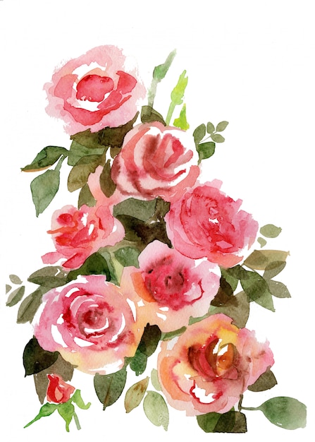 Zdjęcie akwarela ręcznie rysowane bukiet przetargu różowe róże.