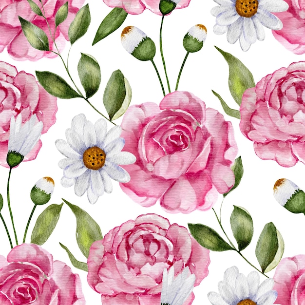 Akwarela różowa róża i stokrotka bezszwowe rocznika kwiecisty wzór kwiatowy lato tło