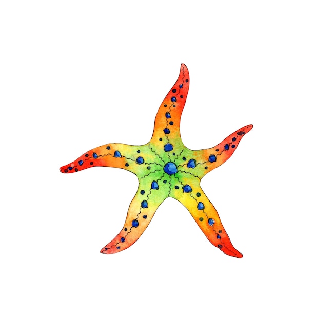 Akwarela tęczowa rozgwiazda Zwierzęta morskie w oceanie Mieszkaniec piaszczystego dna morskiego