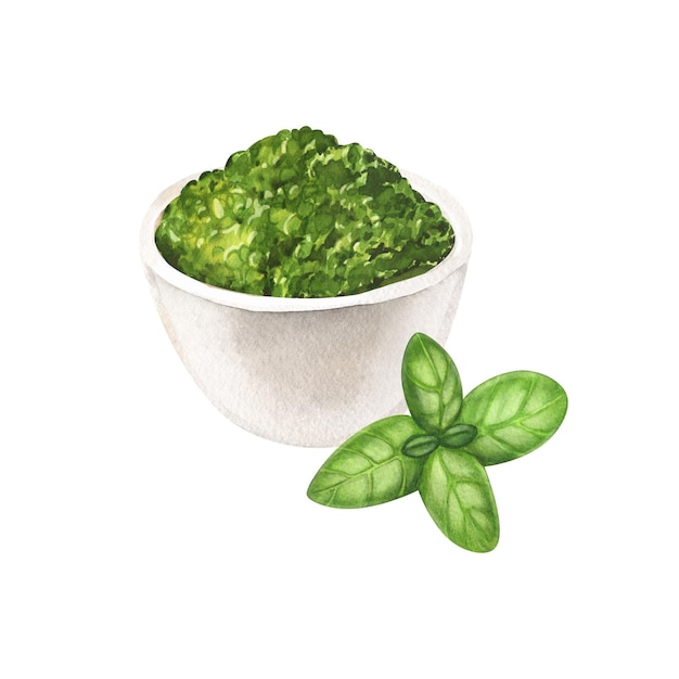 Akwarela włoskiego genovese lokalnego ziołowego sosu pesto i liści bazylii podawane w misce Handdrawn ilustracja izolowana na białym tle Idealny pomysł na pakowanie żywności do kawiarni