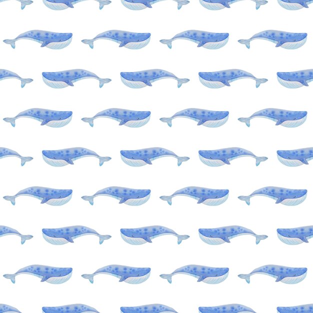 Akwarela wzór ilustracja płetwal błękitny ładny delikatny