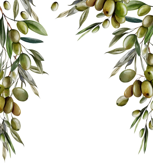 Zdjęcie akwarela z oliwkami i zielonymi liśćmi
