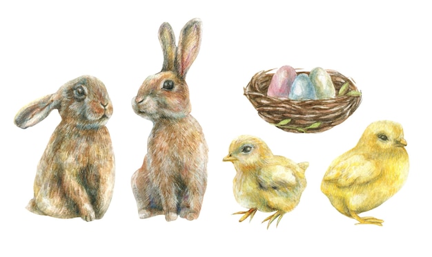 Akwarela zestaw na Wielkanoc z ilustracją piskląt królików i gniazdem z kolorowymi jajkami