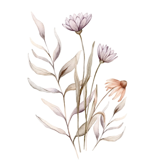 Akwarelowy bukiet botaniczna ilustracja jesienne gałęzie echinacea kwiaty i zioła Jesieńska ilustracja kwiatowa Ręcznie namalowany rysunek izolowany na białym tle Kompozycja kwiatowa kolor pastelowy