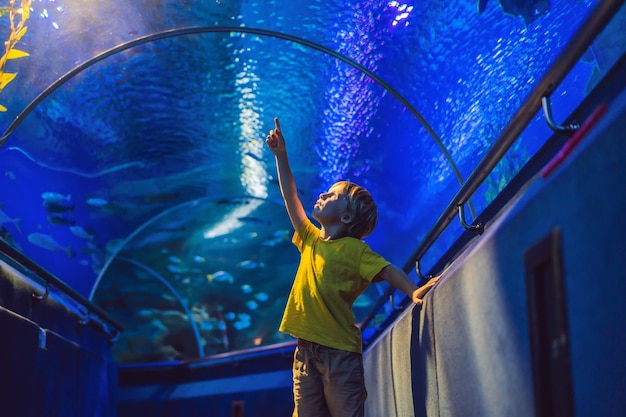 Zdjęcie akwarium i wizyta chłopca w podwodnym tunelu oceanarium i dzika przyroda podwodna przyroda podwodna ryba wodna żółw