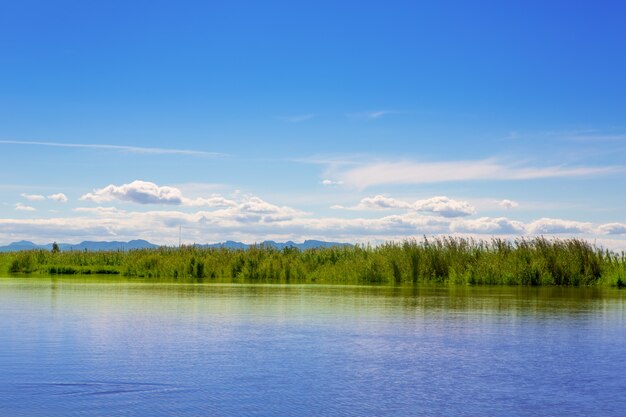 Albufera jezioro w Walencja w pogodnym błękitnym dniu