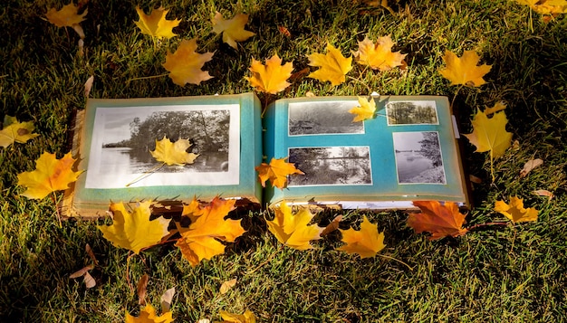 Zdjęcie album fotograficzny z jesiennymi żółtymi liśćmi w parku.