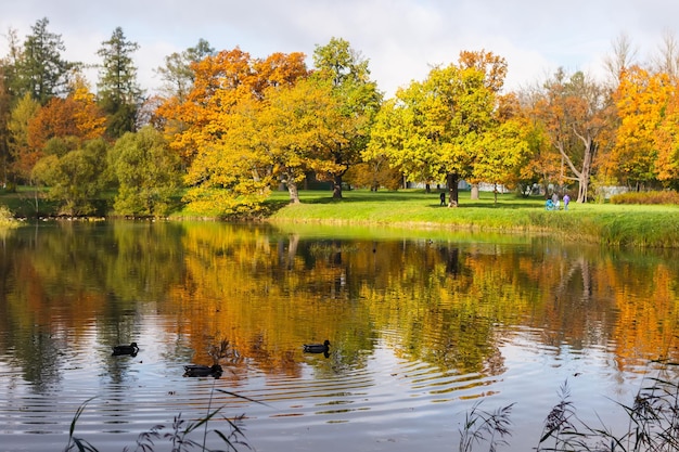 Alexander Park Jesienią W Październiku