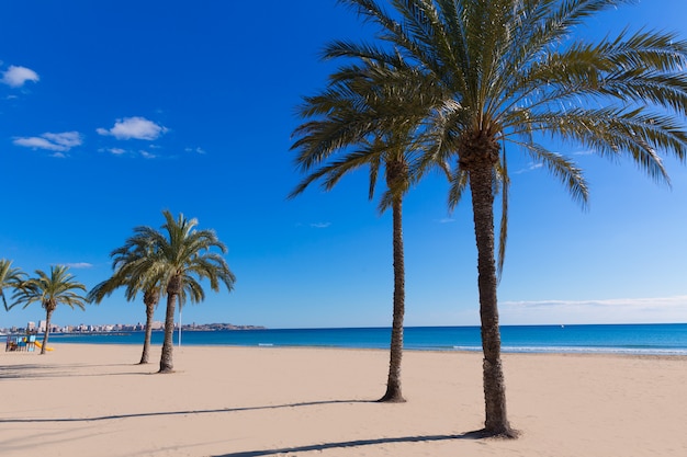 Alicante Postiguet plaża przy Śródziemnomorskim Hiszpania