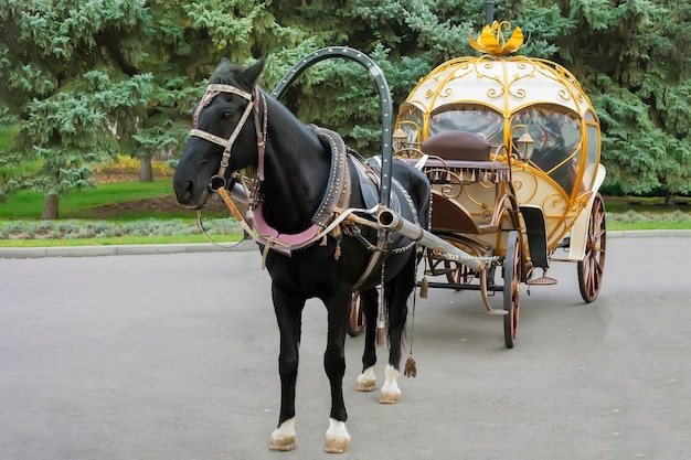 Almaty Kazachstan 11062022 Przejażdżka bryczką po parku miejskim