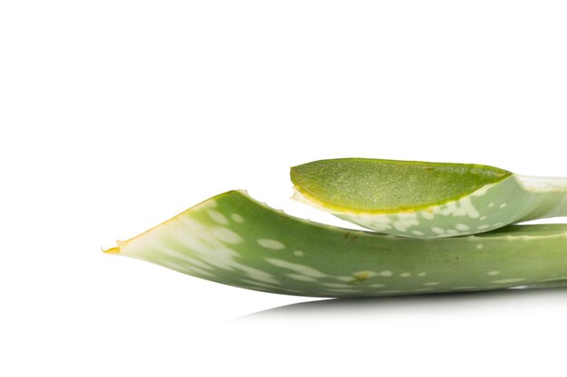 Aloe vera izolowana na białym tle