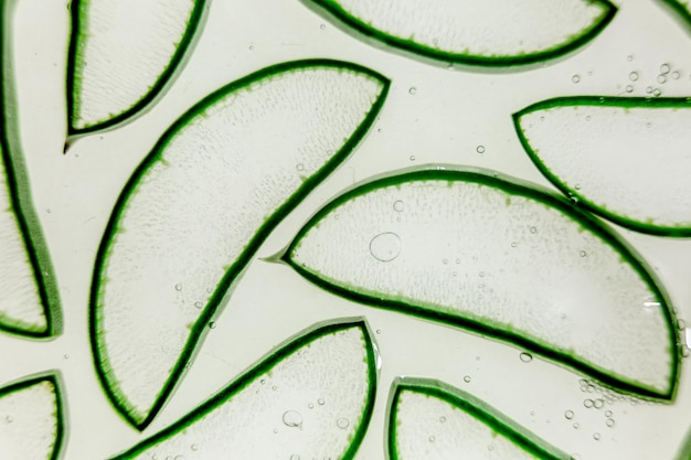 Zdjęcie aloe vera kawałek tekstura tła roślina lecznicza stosowana do leczenia i do tworzenia kremu płaskie leżące na górze