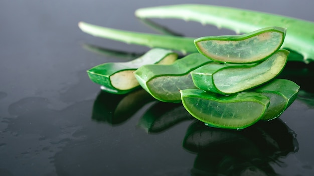 Aloe vera roślin. Aloe vera jest stosowany w medycynie tradycyjnej jako zabieg na skórę.