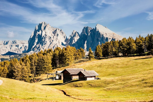 Alpe Di Siusi Seiser Alm Z Grupą Górską Sassolungo Langkofel Majestic Krajobraz Alpine Czerwony A